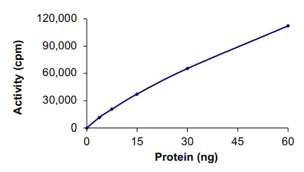 Functional Studies - Recombinant human PKC delta protein (AB60844)