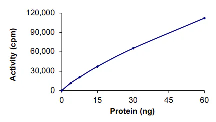Functional Studies - Recombinant human PKC delta protein (GST tag N-Terminus) (AB60844)