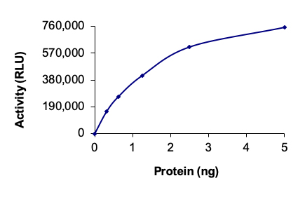 Functional Studies - Recombinant human PKC epsilon protein (AB60847), expandable thumbnail