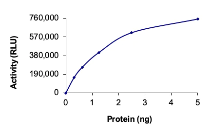 Functional Studies - Recombinant human PKC epsilon protein (AB60847)