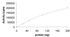 Functional Studies - Recombinant human PKC eta protein (AB60849)