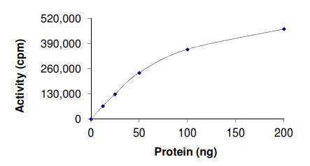 Functional Studies - Recombinant human PKC eta protein (AB60849)