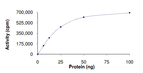 Functional Studies - Recombinant human PKC gamma protein (AB60842)