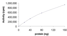 Functional Studies - Recombinant human PKC iota protein (GST tag N-Terminus) (AB60850)
