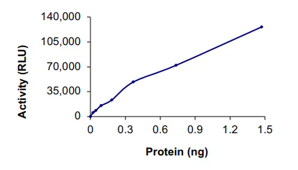 Functional Studies - Recombinant human PKC iota protein (GST tag N-Terminus) (AB60850)