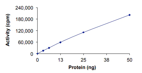 Functional Studies - Recombinant human PKC mu/PKD protein (AB60873)