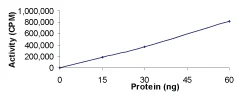 Functional Studies - Recombinant human PKC mu/PKD protein (AB60873)