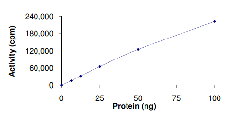 Recombinant human PKC nu/PRKD3 protein