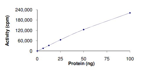 Functional Studies - Recombinant human PKC nu/PRKD3 protein (AB60874)