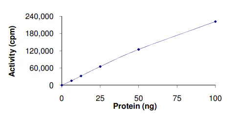 Functional Studies - Recombinant human PKC nu/PRKD3 protein (GST tag N-Terminus) (AB60874)