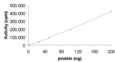 Functional Studies - Recombinant human PKC nu/PRKD3 protein (GST tag N-Terminus) (AB60874)