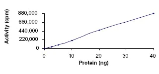 Functional Studies - Recombinant human PKC theta/PRKCQ protein (AB56641)