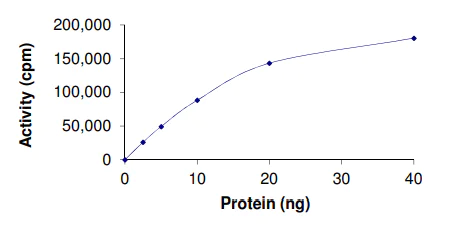 Functional Studies - Recombinant human PKC theta/PRKCQ protein (AB56641)
