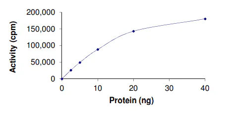 Functional Studies - Recombinant human PKC theta/PRKCQ protein (GST tag N-Terminus) (AB56641)