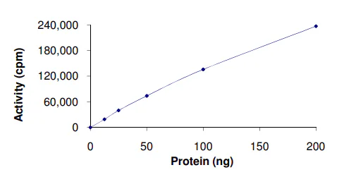 Functional Studies - Recombinant human PKC zeta protein (GST tag N-Terminus) (AB60848)