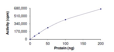 Functional Studies - Recombinant human PKD2 (mutated G848E) protein (AB172191)