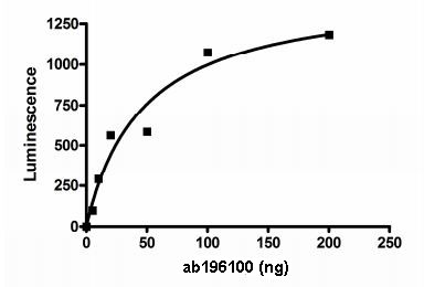 Functional Studies - Recombinant human PKLR protein (AB196100), expandable thumbnail