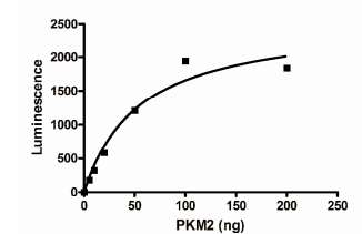Functional Studies - Recombinant human PKM2 protein (AB196081), expandable thumbnail