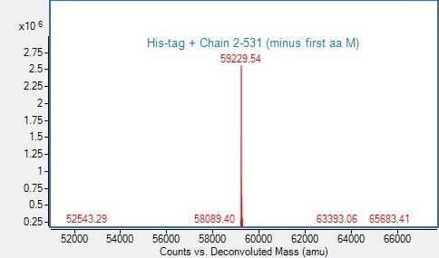 Mass Spectrometry - Recombinant human PKM2 protein (His tag) (AB318258)