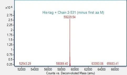 Mass Spectrometry - Recombinant human PKM2 protein (His tag) (AB318258)