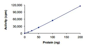 Functional Studies - Recombinant human PKN1 protein (AB207102)