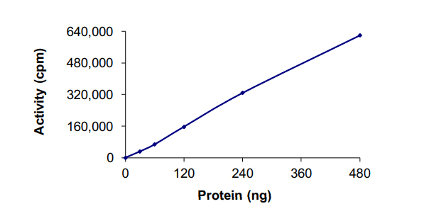 Recombinant human PKN2 protein