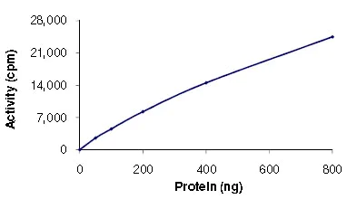 Functional Studies - Recombinant human PKN3 protein (AB125615)