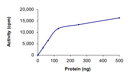 Recombinant human PKN3 protein