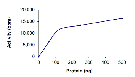 Functional Studies - Recombinant human PKN3 protein (AB125615)