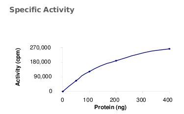 Functional Studies - Recombinant human PKR protein (AB71666)