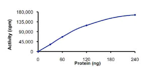 Functional Studies - Recombinant human PKR protein (AB85838)