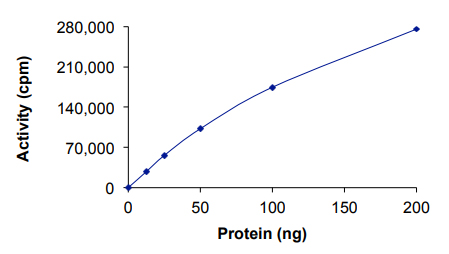 Recombinant human PKR protein
