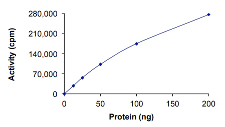 Functional Studies - Recombinant human PKR protein (AB85838)