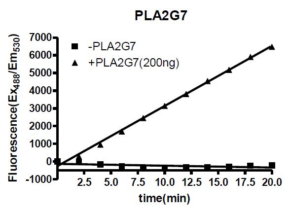 Functional Studies - Recombinant human PLA2G7 protein (Active) (His tag C-Terminus) (AB271715)