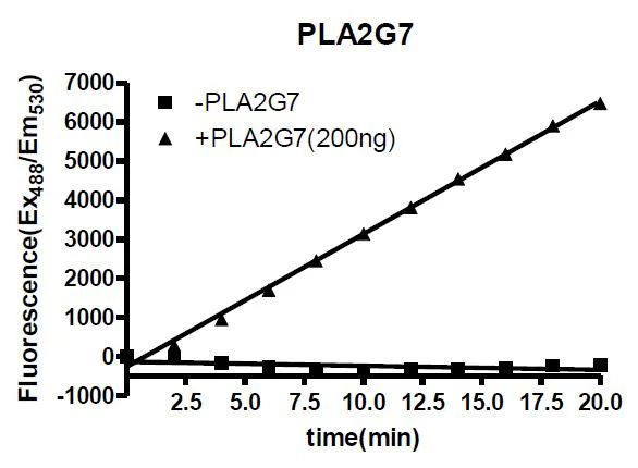 Functional Studies - Recombinant human PLA2G7 protein (Active) (His tag C-Terminus) (AB271715)