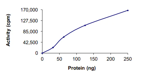 Functional Studies - Recombinant human PLK1 protein (AB51426)