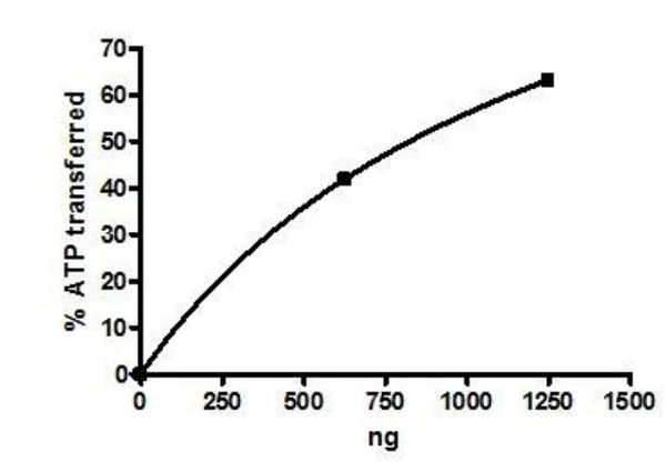 Functional Studies - Recombinant human PLK1 protein (Active) (AB271716)