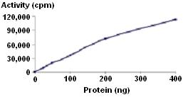 Functional Studies - Recombinant human PLK1 protein (His tag N-Terminus) (AB51426)