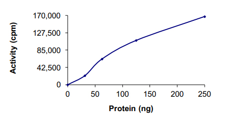 Functional Studies - Recombinant human PLK1 protein (His tag N-Terminus) (AB51426)