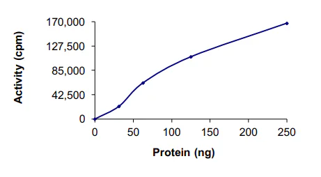 Functional Studies - Recombinant human PLK1 protein (His tag N-Terminus) (AB51426)