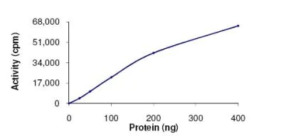 Functional Studies - Recombinant human PLK2 protein (AB102108)