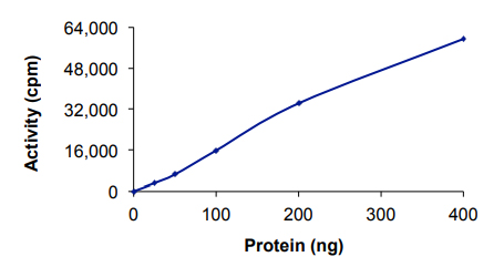 Functional Studies - Recombinant human PLK2 protein (AB102108)
