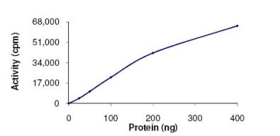 Functional Studies - Recombinant human PLK2 protein (GST tag N-Terminus) (AB102108)