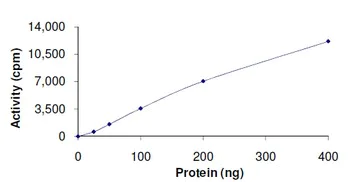 Functional Studies - Recombinant human PLK3 protein (AB125627)