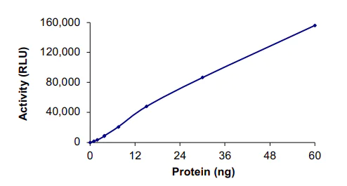 Functional Studies - Recombinant human PLK3 protein (AB125627)