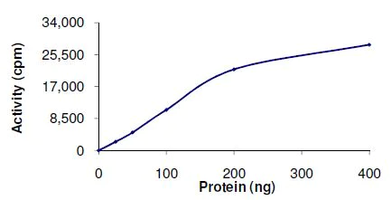 Functional Studies - Recombinant human PLK4 protein (AB125558)