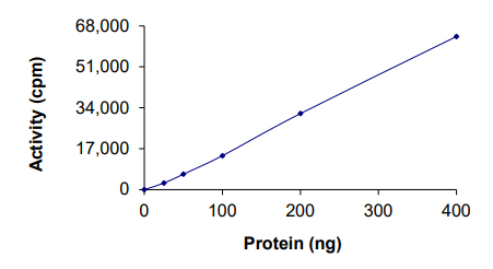 Functional Studies - Recombinant human PLK4 protein (AB125558)