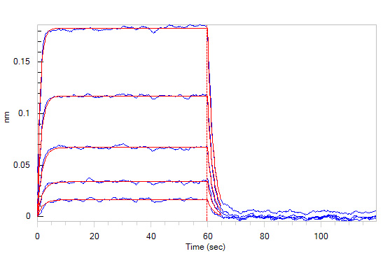 Functional Studies - Recombinant human Poliovirus Receptor/PVR protein (Active) (AB155723), expandable thumbnail