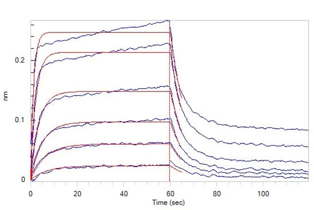 Functional Studies - Recombinant human Poliovirus Receptor/PVR protein (Fc Chimera Active) (AB220561)