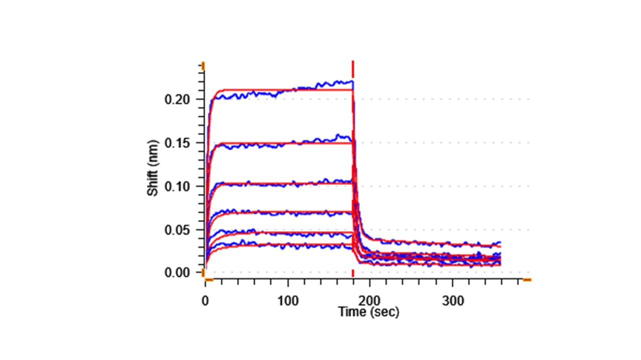 Biological Activity - Recombinant Human Poliovirus Receptor/PVR Protein (His-tag) (Active) (AB307790)